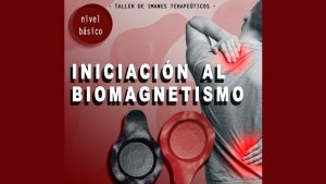 Bases Fundamentales del Biomagnetismo