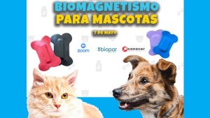 Biomagnetismo aplicado a mascotas