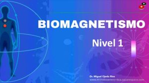 BIOMAGNETISMO NIVEL 1