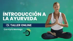 Taller Introducción a la Ayurveda - Cala Academy Taller Introducción a la Ayurveda